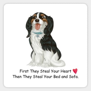 My Tri-Colored Cavalier King Charles Spaniel Stole My Heart, Then My Bed and Sofa. Magnet